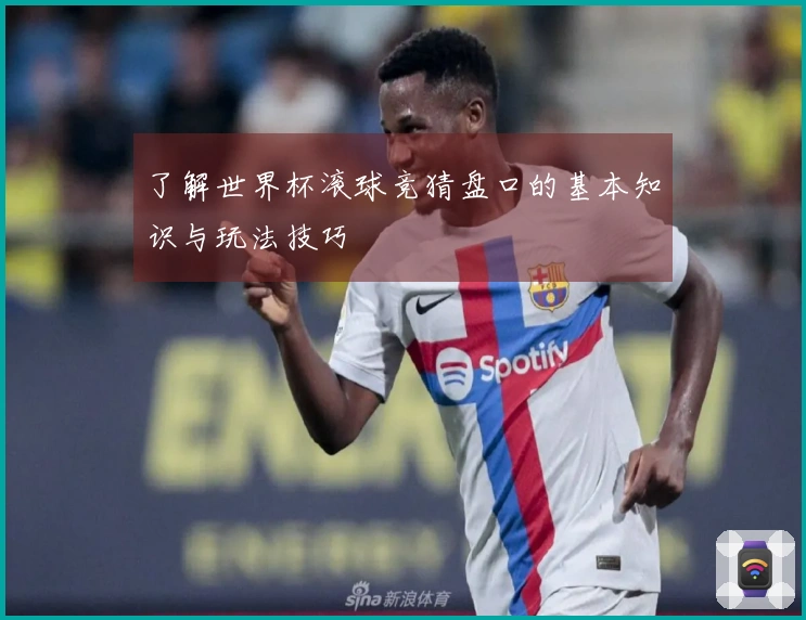 了解世界杯滚球竞猜盘口的基本知识与玩法技巧