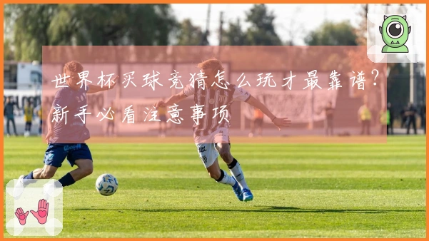 世界杯买球竞猜怎么玩才最靠谱?新手必看注意事项