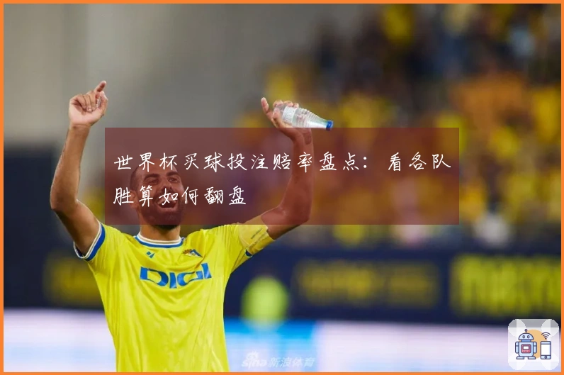世界杯买球投注赔率盘点：看各队胜算如何翻盘