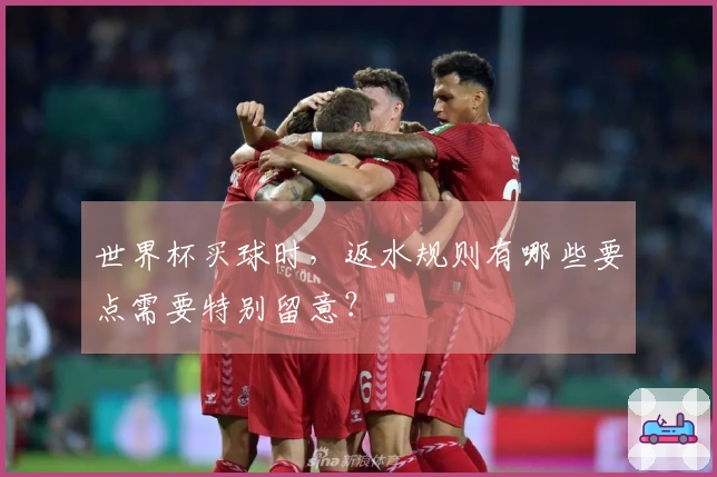 世界杯买球时，返水规则有哪些要点需要特别留意？
