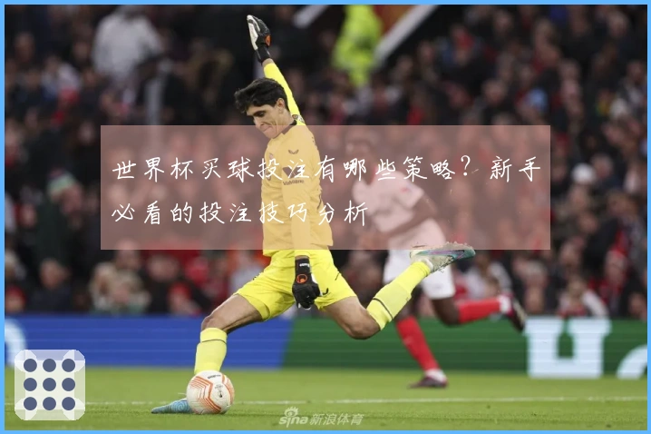 世界杯买球投注有哪些策略？新手必看的投注技巧分析