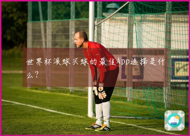 世界杯滚球买球的最佳App选择是什么？