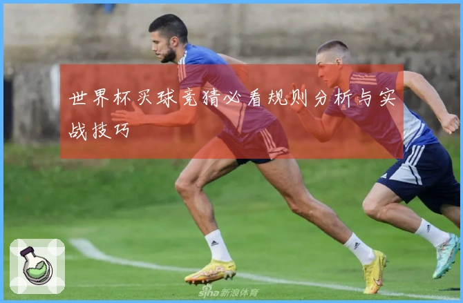 世界杯买球竞猜必看规则分析与实战技巧
