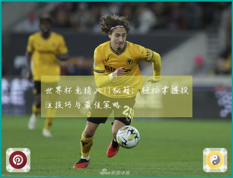 世界杯竞猜入门秘籍：轻松掌握投注技巧与最佳策略