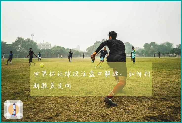 世界杯让球投注盘口解读，如何判断胜负走向