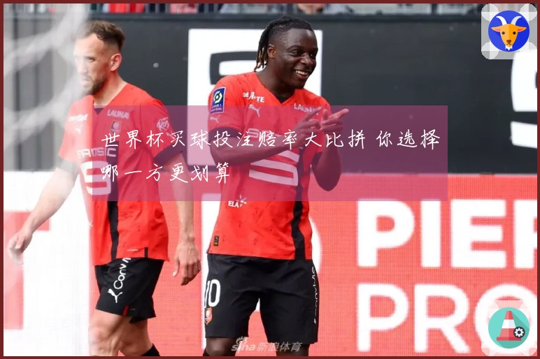 世界杯买球投注赔率大比拼 你选择哪一方更划算