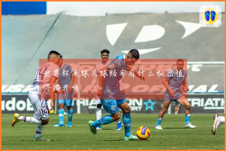 世界杯滚球买球赔率有什么秘密值得揭开吗