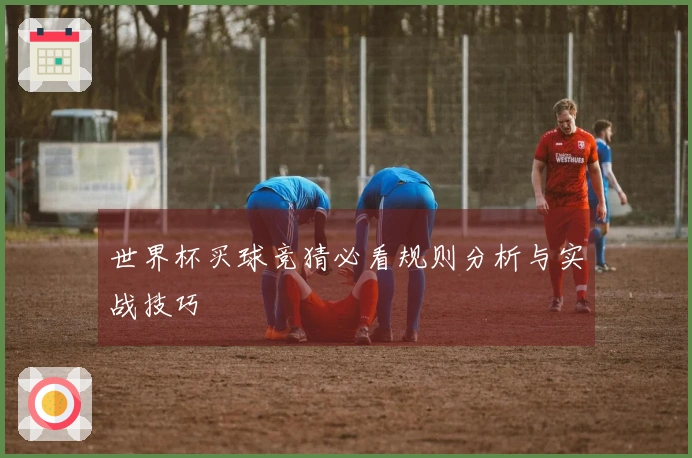 世界杯买球竞猜必看规则分析与实战技巧