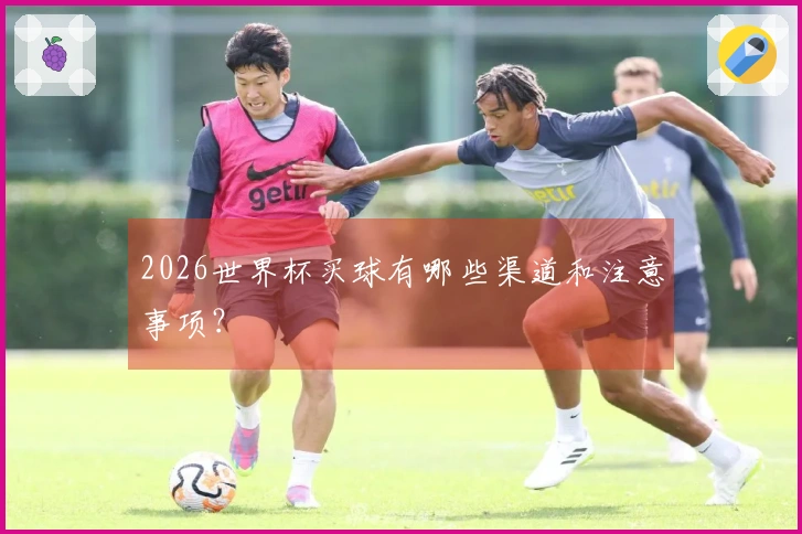 2026世界杯买球有哪些渠道和注意事项？
