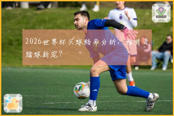 2026世界杯买球赔率分析，谁将是赌球新宠？