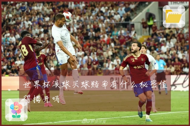 世界杯滚球买球赔率有什么秘密值得揭开吗