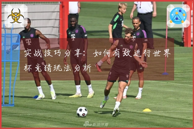 实战技巧分享：如何有效进行世界杯竞猜玩法分析