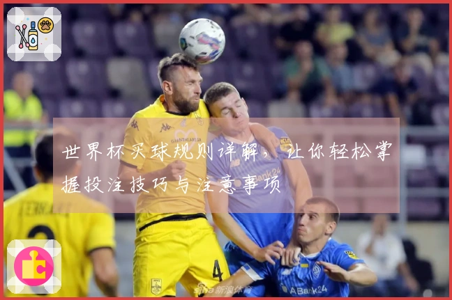 世界杯买球规则详解，让你轻松掌握投注技巧与注意事项