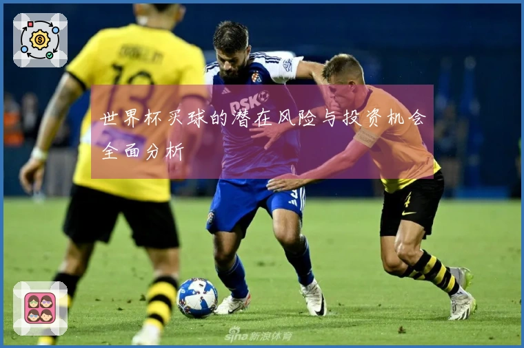 世界杯买球的潜在风险与投资机会全面分析