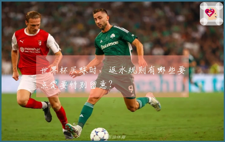 世界杯买球时，返水规则有哪些要点需要特别留意？
